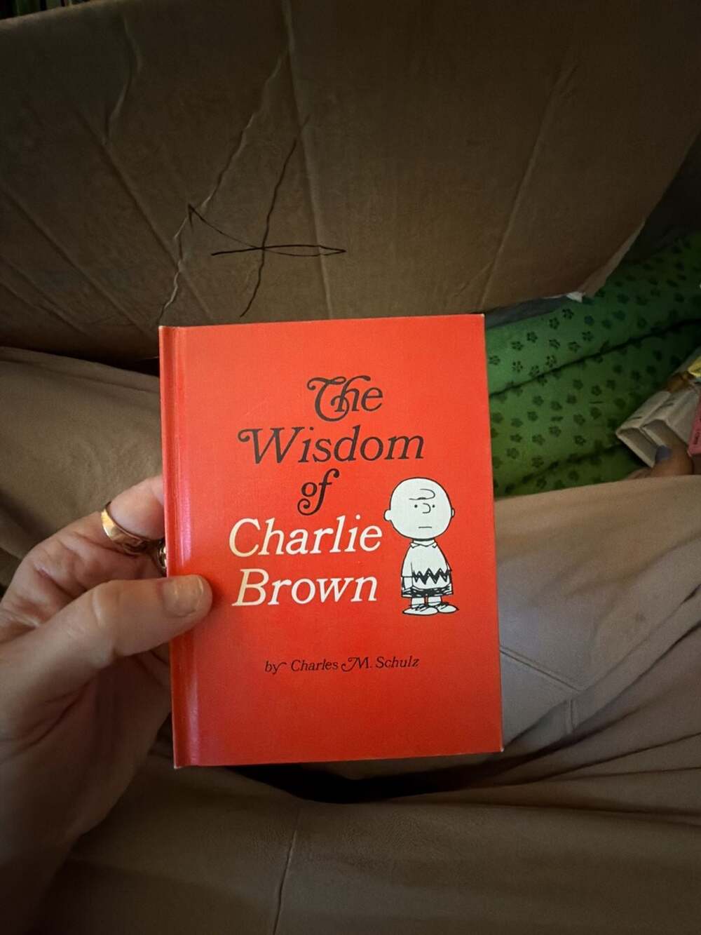 The Wisdom of Charlie Brown by Charles M. Schulz